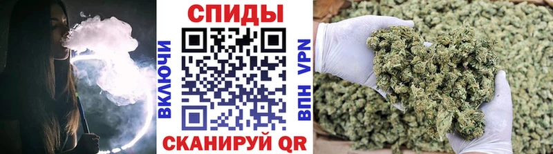 как найти наркотики  Шумиха  БУТИРАТ BDO 