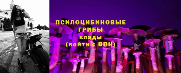 a pvp Апатиты