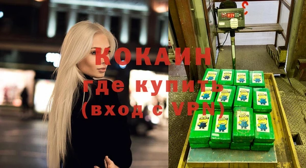 крисы Анжеро-Судженск