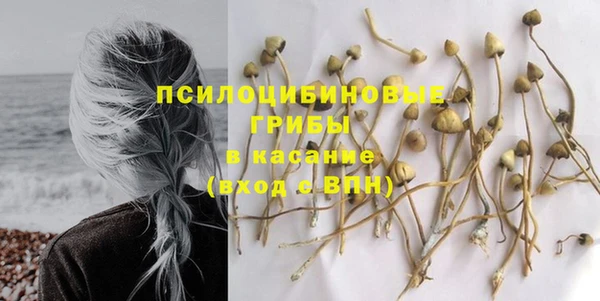 крисы Тында